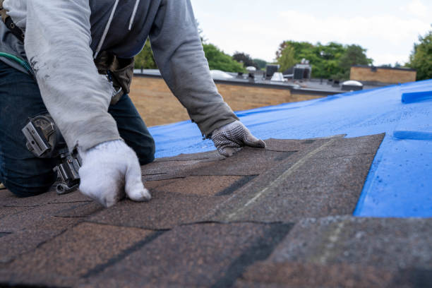Best Metal Roofing Contractor  in Raymond, WA