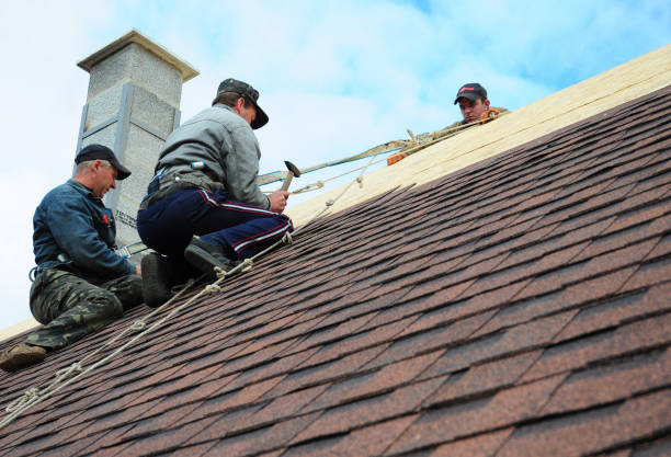 Best Roof Repair Specialists  in Raymond, WA